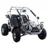 PGO BugRider 250 Buggy - Workshop Manual - User Manual - Parts Catalogue