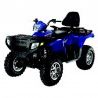 Polaris Sportsman 800 (2009) - Workshop Manual, Repair Manual - Wiring Schematics