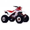 Honda TRX250X Fourtrax (1987-1988) - Workshop Manual / Repair Manual - Wiring Schematics