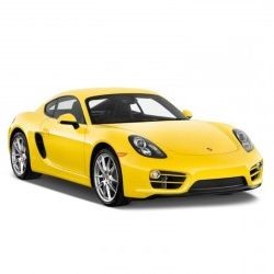 Porsche Cayman (2013-2016) - Service Manual / Repair Manual - Wiring Diagrams