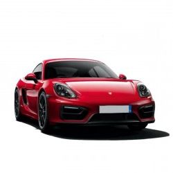 Porsche 981 Cayman (2012-15) - Service Manual - Wiring Diagram