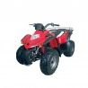 Britech Quad 180 Sport - Workshop Manual, Repair Manual