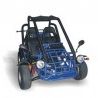 Dazon Raider Classic 150 Buggy - Workshop Manual
