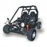 Dazon Raider 250 Buggy - Workshop Manual / Repair Manual