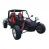 Dazon 1100 Buggy - Owners & Parts Manual