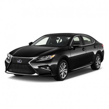 Lexus ES 200 (2018-2024) - Wiring and Electrical Circuits