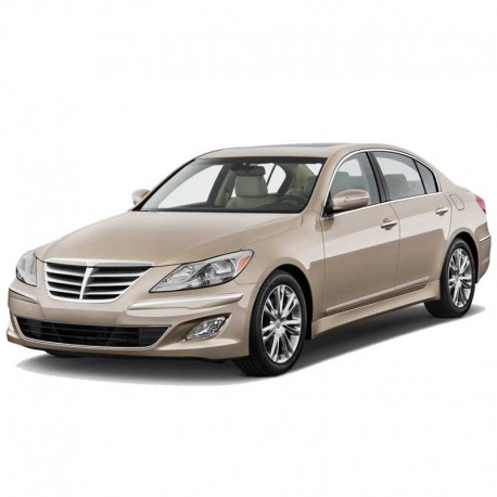 Hyundai Genesis 4.6 MPI (2009-2014) - Workshop Repair Manual - Maintenance