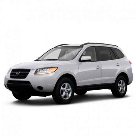 Hyundai Santa Fe (2007) - Workshop Repair Manual - Maintenance