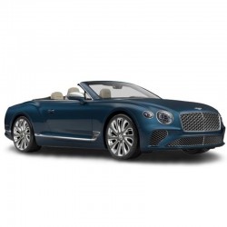 Bentley Continental GTC V8 (2020+) - Workshop Repair Manual - Maintenance