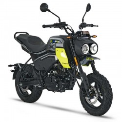 Cfmoto Papio CL (2024+) - Workshop Repair Manual - Maintenance