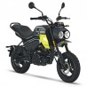 Cfmoto Papio CL (2024+) - Workshop Repair Manual - Maintenance