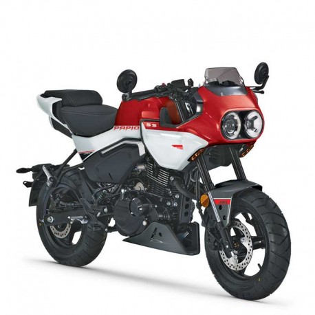Cfmoto Papio SS (2024+) - Workshop Repair Manual - Maintenance