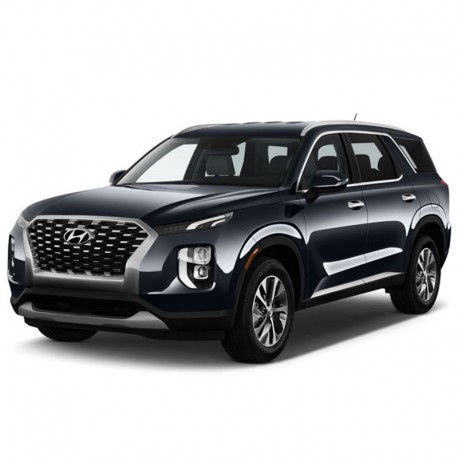 Hyundai Palisade (2020-2023) - Workshop Manual - Electrical Circuits