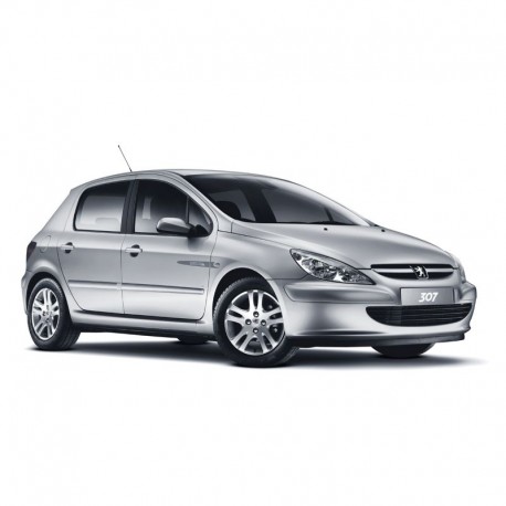 Peugeot 307 (2005+) - Manuel de Reparation / Atelier - Schemas de Cablage Electrique