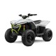 Cfmoto Cforce 110 EV (2023+) - Workshop Repair Manual - Maintenance