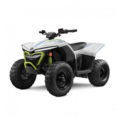 Cfmoto Cforce 110 EV (2023+) - Workshop Repair Manual - Maintenance