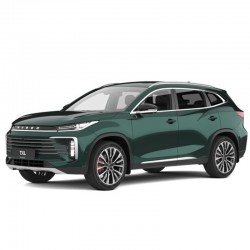 Chery Exeed TXL (2021-2025) - Workshop Repair Manual - Maintenance